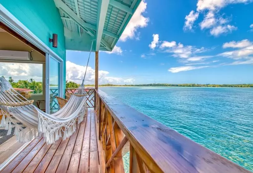 هتل Bambuda Bocas Town   Hostel