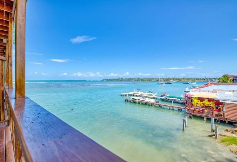 فندق Bambuda Bocas Town   Hostel