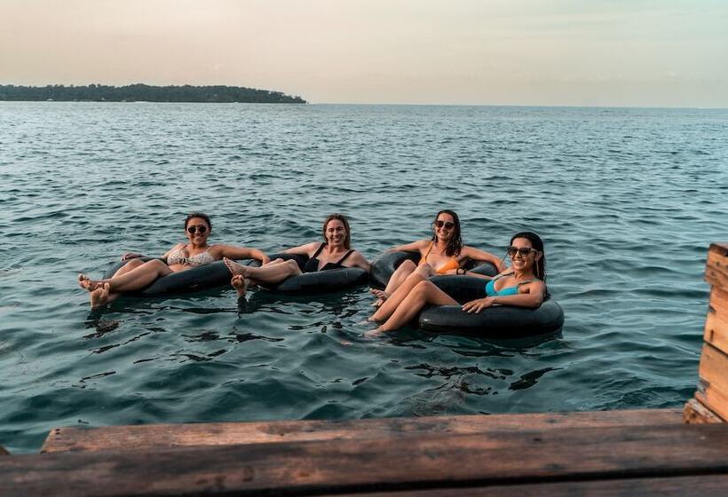 فندق Bambuda Bocas Town   Hostel