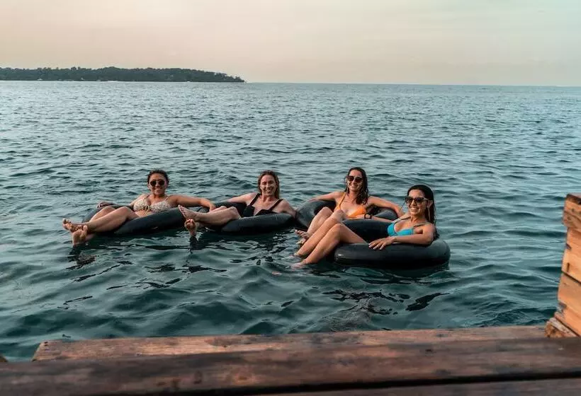 هتل Bambuda Bocas Town   Hostel