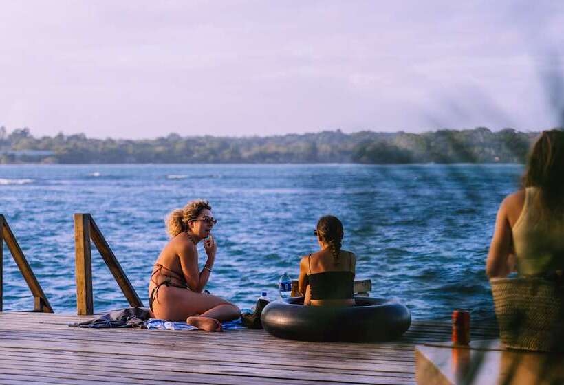 فندق Bambuda Bocas Town   Hostel
