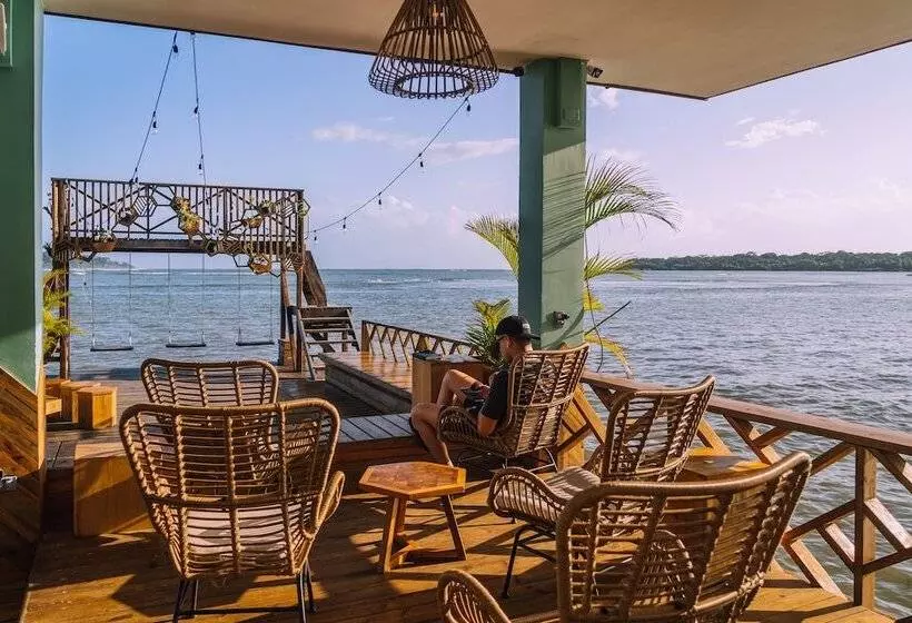 هتل Bambuda Bocas Town   Hostel