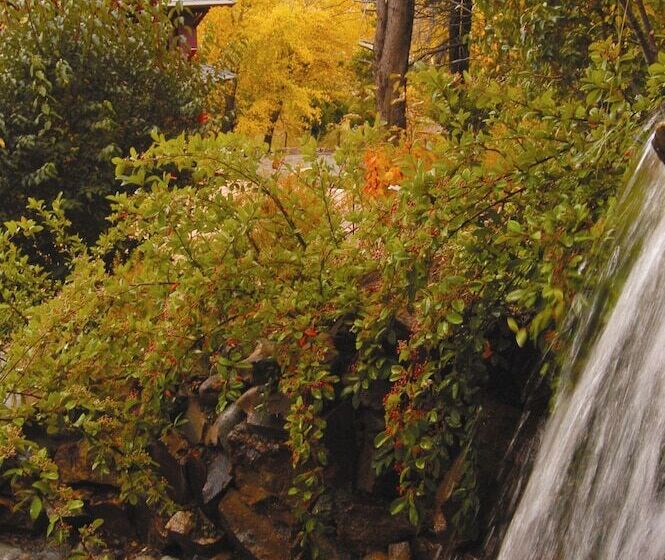 Nido Del Condor Hotel & Spa