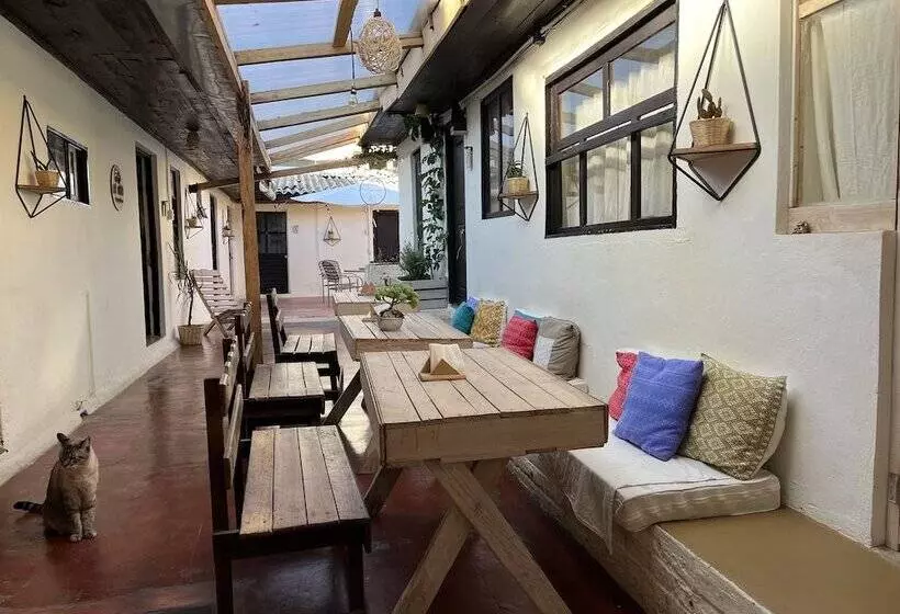 تختخواب و صبحانه Casa Cheleb