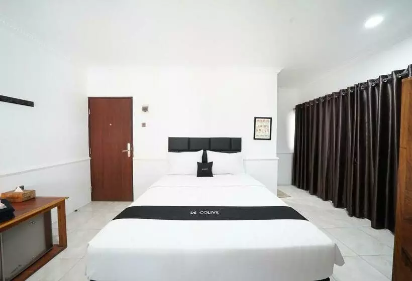 Hotel Ds Colive Marina