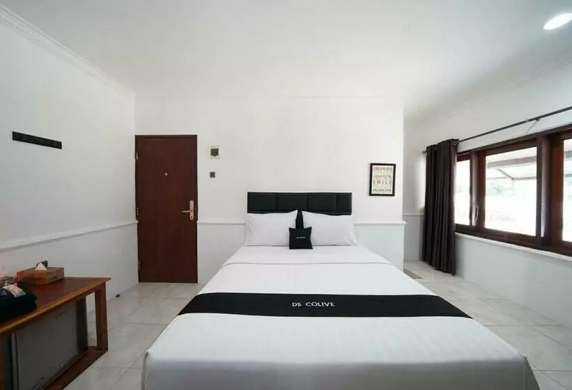 Hotel Ds Colive Marina