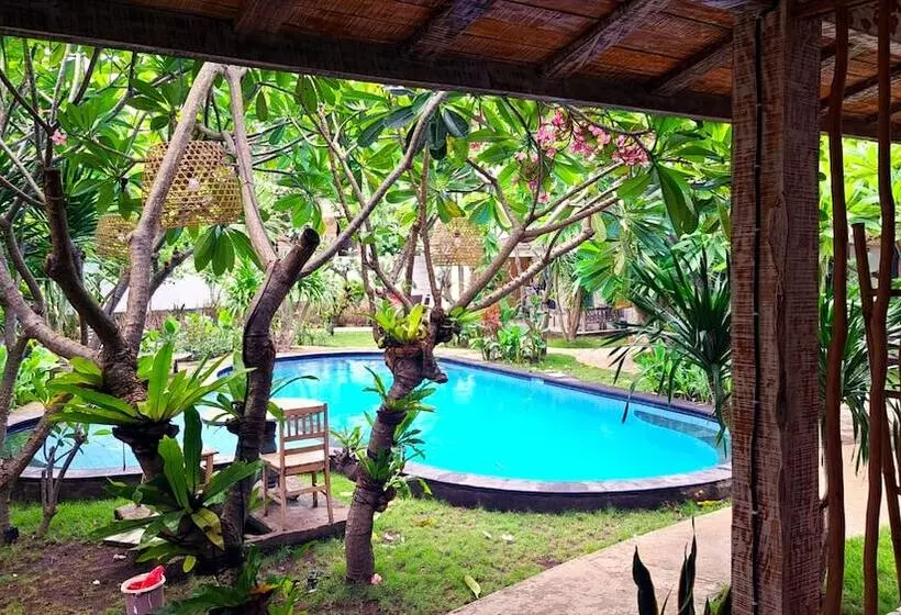 ホテル Oasis Villas