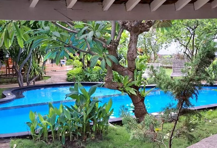 ホテル Oasis Villas