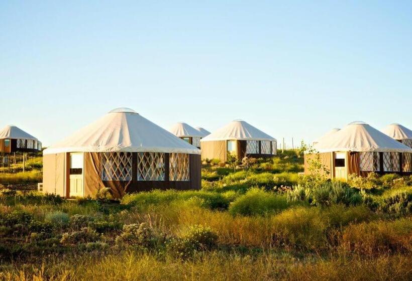 酒店 Sagecliffe Resort & Spa