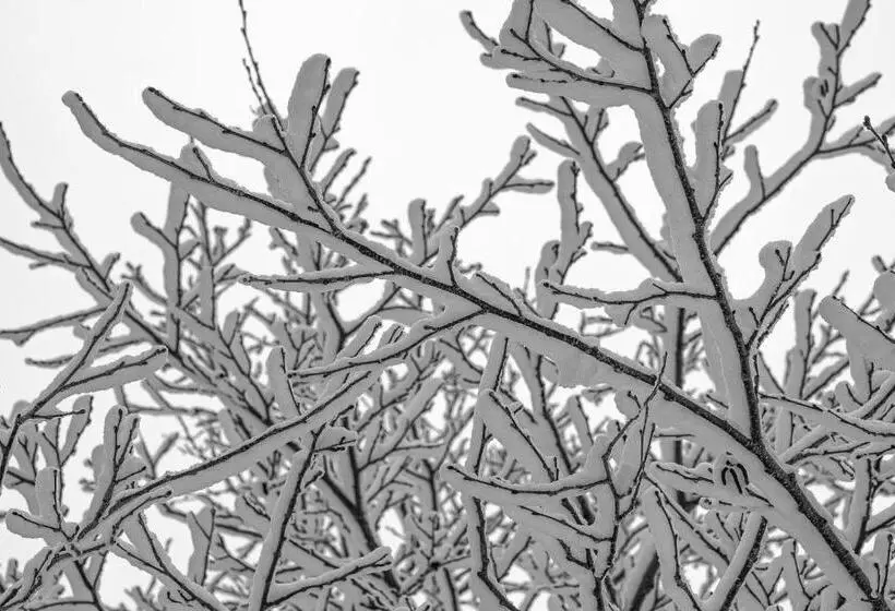 ペンション 小さな森の貸し切り宿forest House Ranapirica