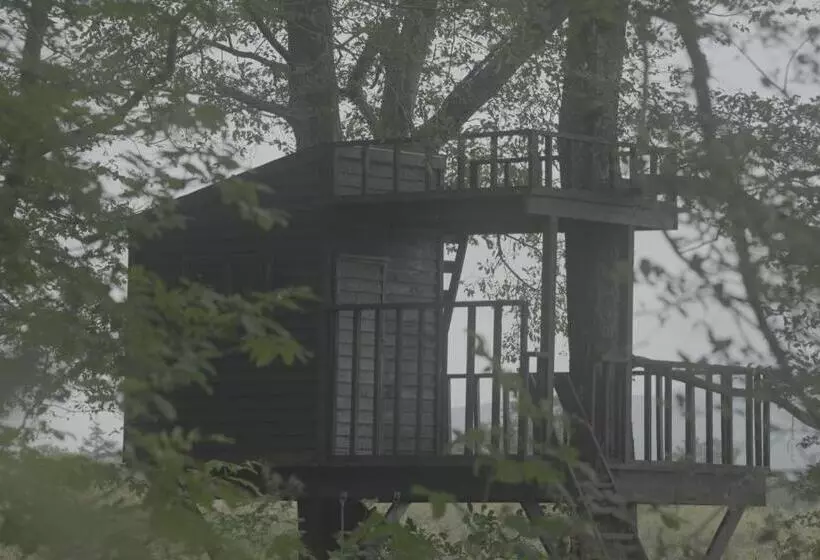 ペンション 小さな森の貸し切り宿forest House Ranapirica