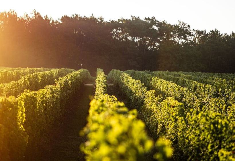 Vandenbeld Wines B&b