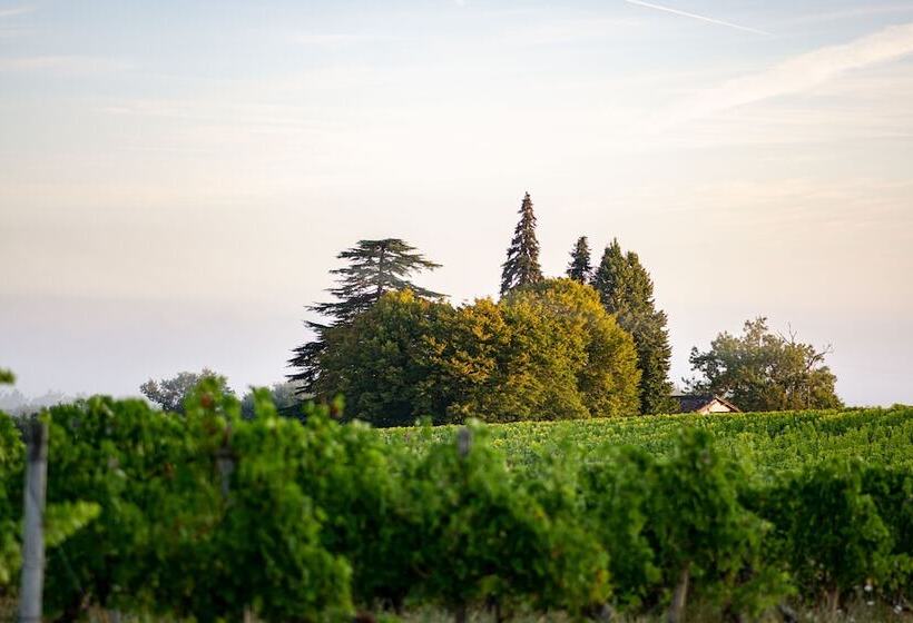 Vandenbeld Wines B&b