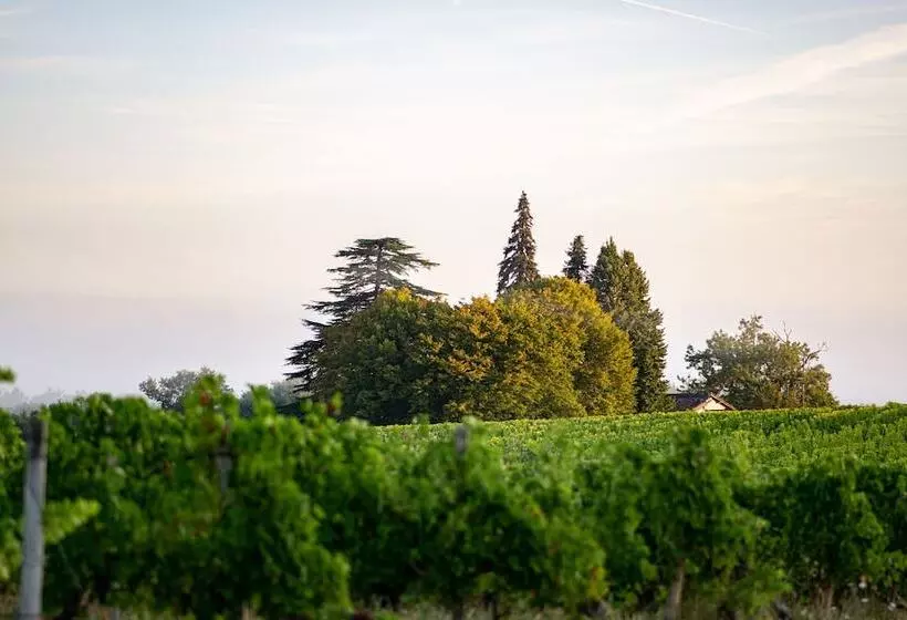 Vandenbeld Wines B&b