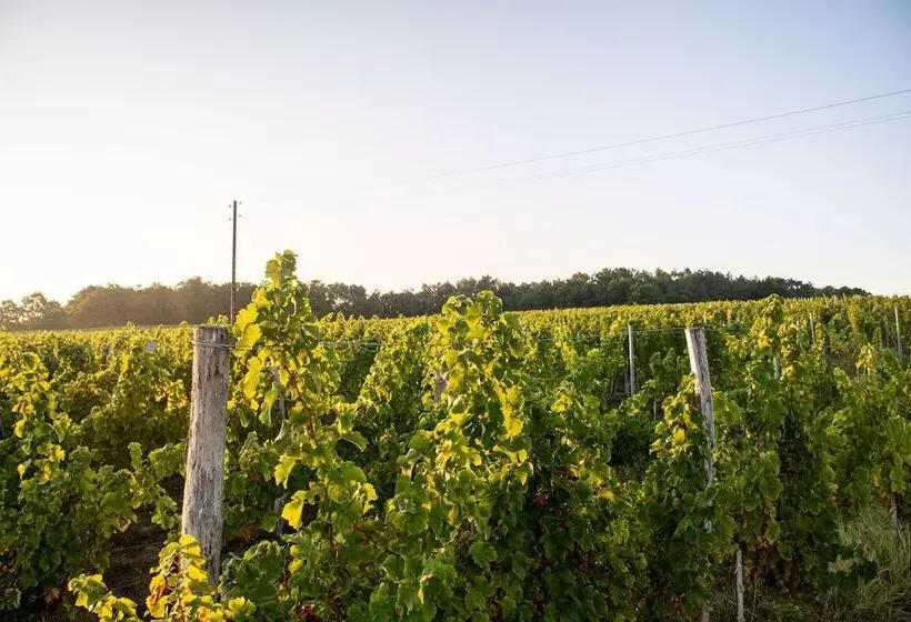 Vandenbeld Wines B&b