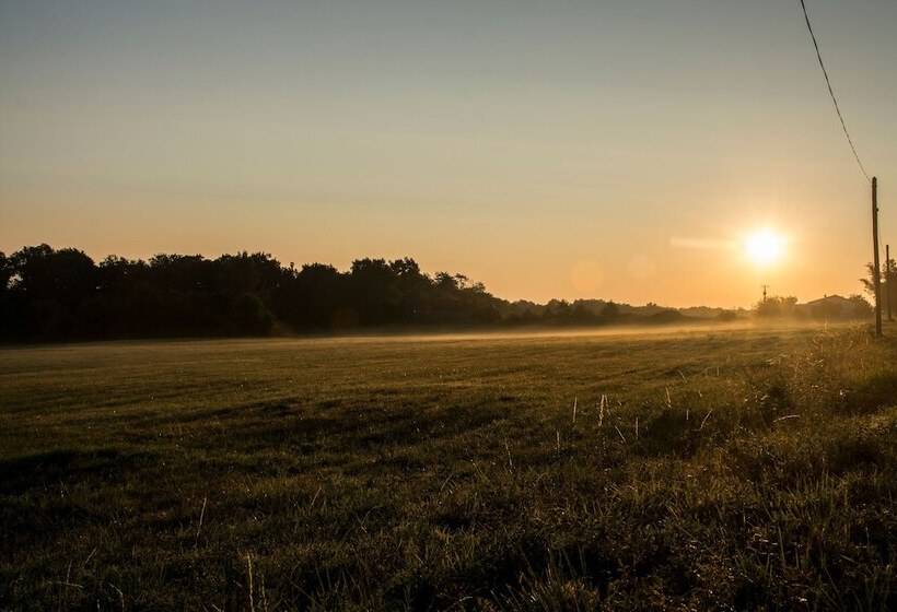 Vandenbeld Wines B&b