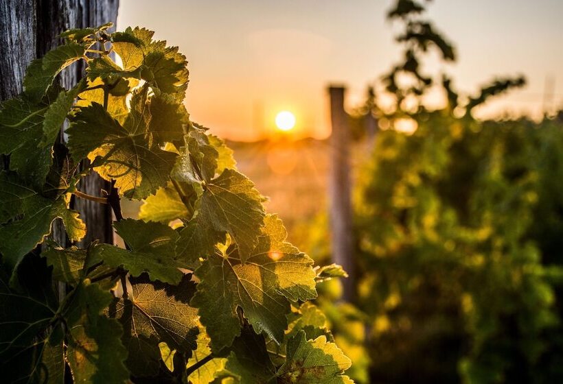 Vandenbeld Wines B&b