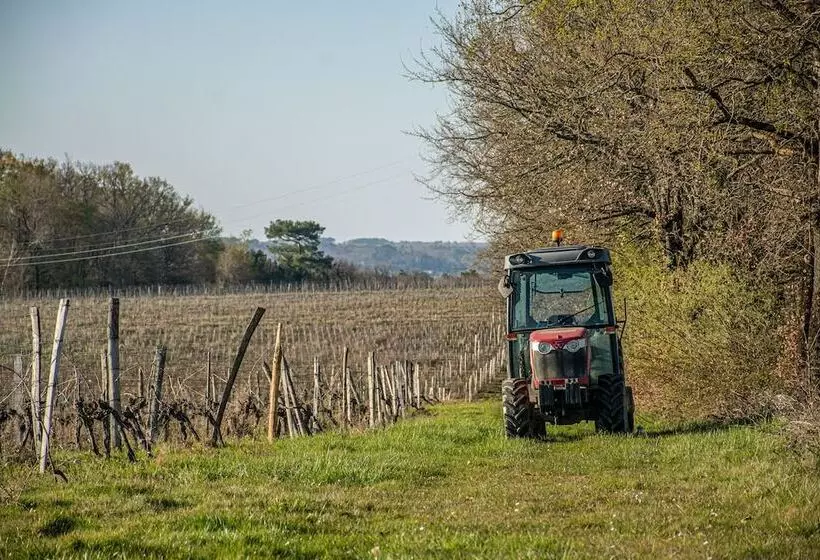 Vandenbeld Wines B&b
