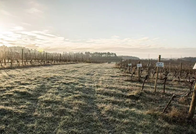 Vandenbeld Wines B&b