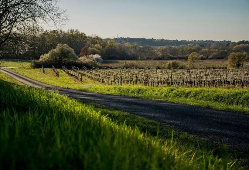 Vandenbeld Wines B&b