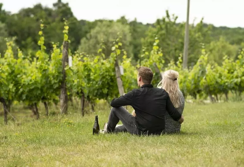 Vandenbeld Wines B&b