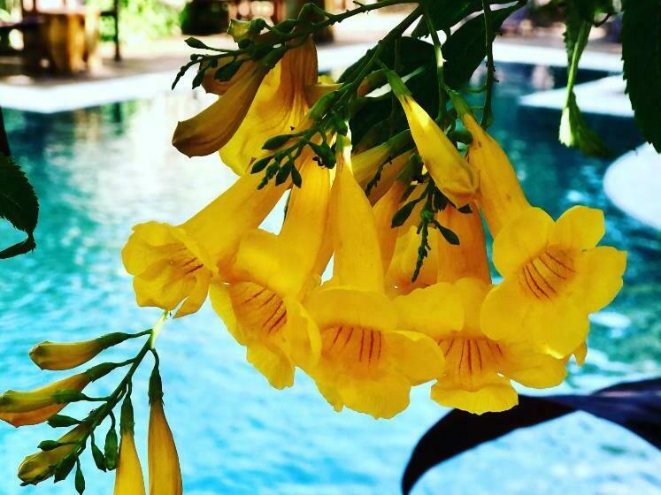 Hostel Pousada Mangue Sereno