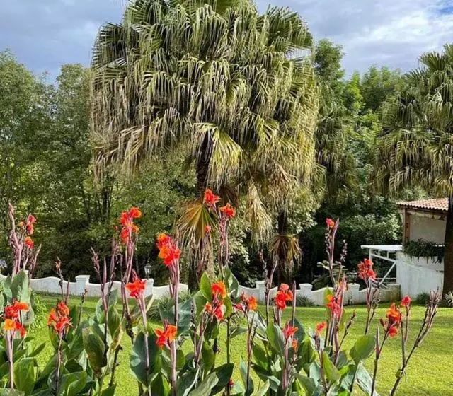 Casa Caballero Hotel Boutique