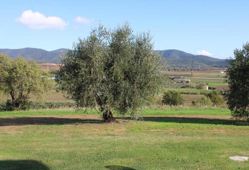 酒店 Agriturismo Il Montoto