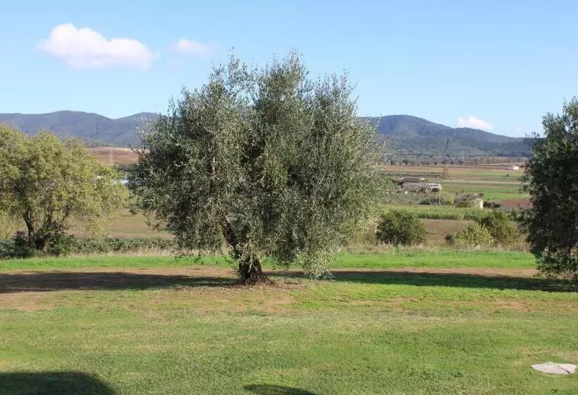 هتل Agriturismo Il Montoto