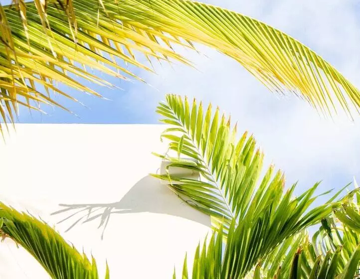 هتل Le Martin Boutique Hôtel