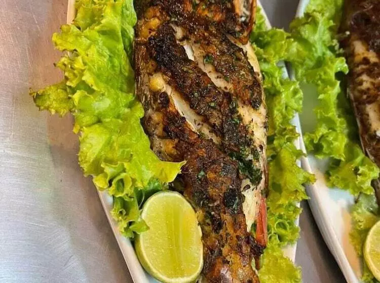 My Home Hotel Punta Cana