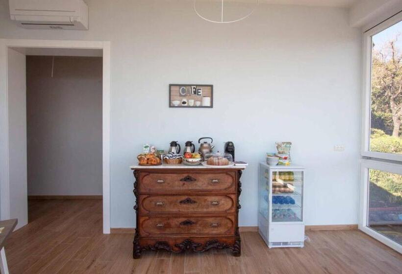 La Camelia Bianca B&b