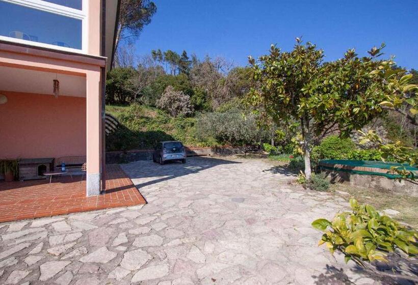 La Camelia Bianca B&b