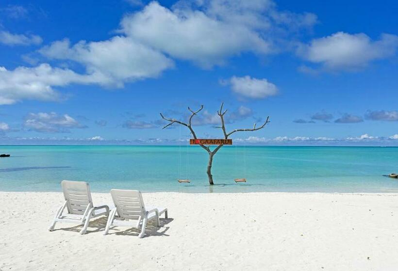 پانسیون Niru Isle Maldives