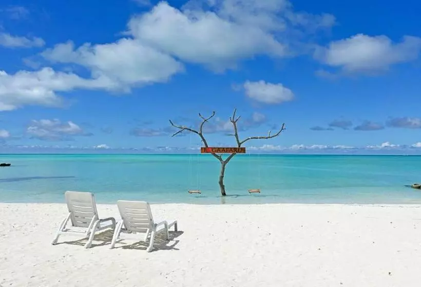 پانسیون Niru Isle Maldives