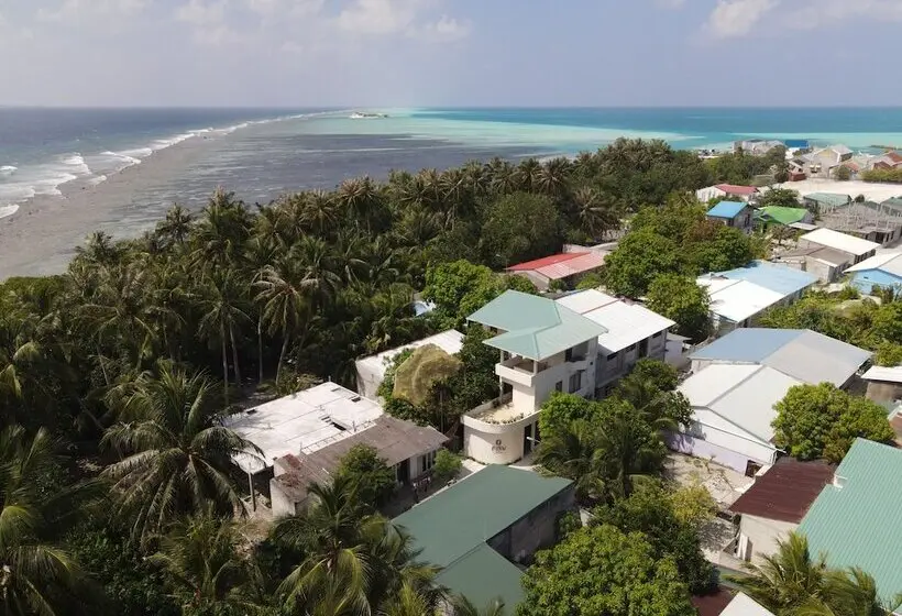پانسیون Niru Isle Maldives