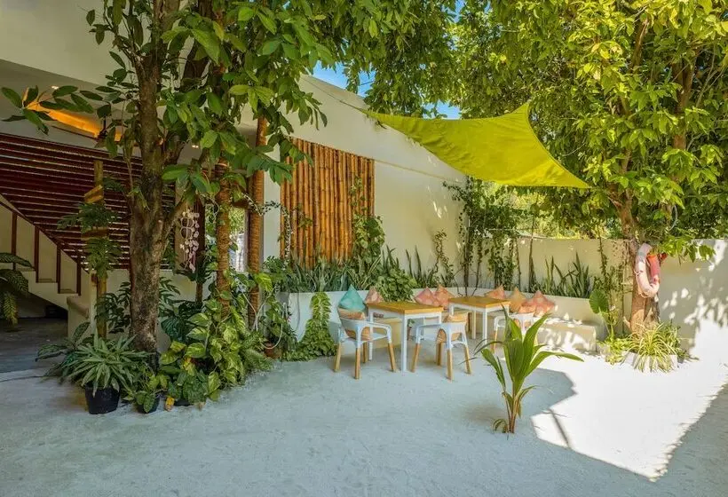 پانسیون Niru Isle Maldives