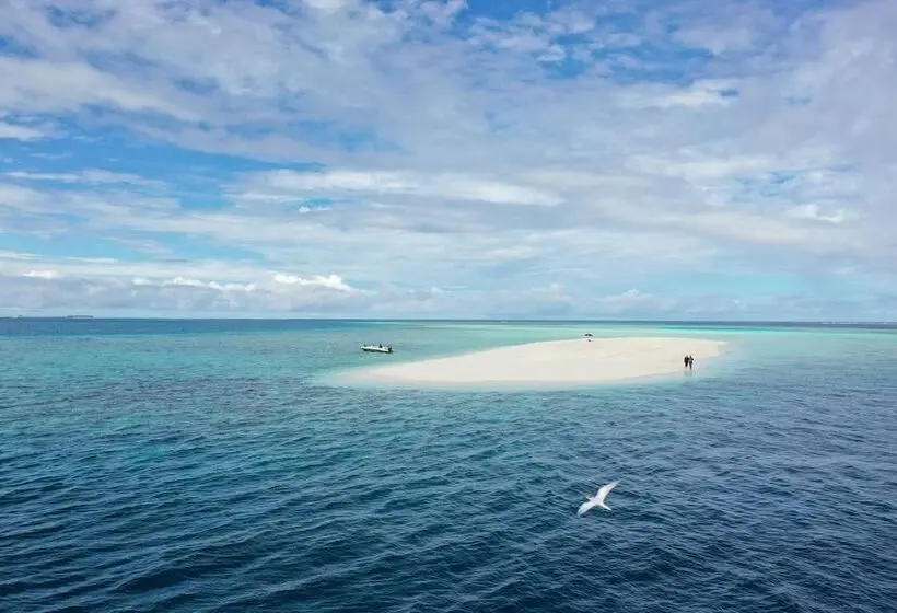 پانسیون Niru Isle Maldives