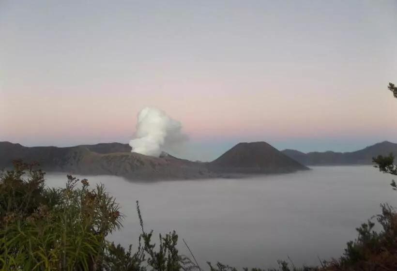 Pensione Rumah Singgah Brm