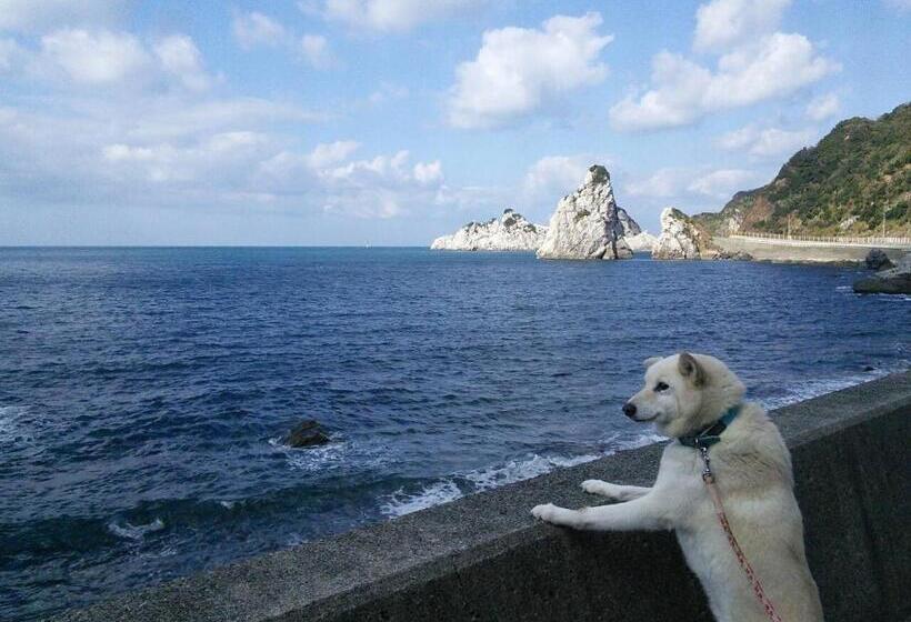 ريوكان Shirasakiso