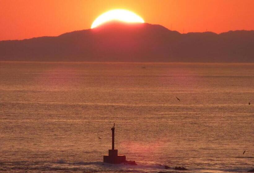 ريوكان Shirasakiso