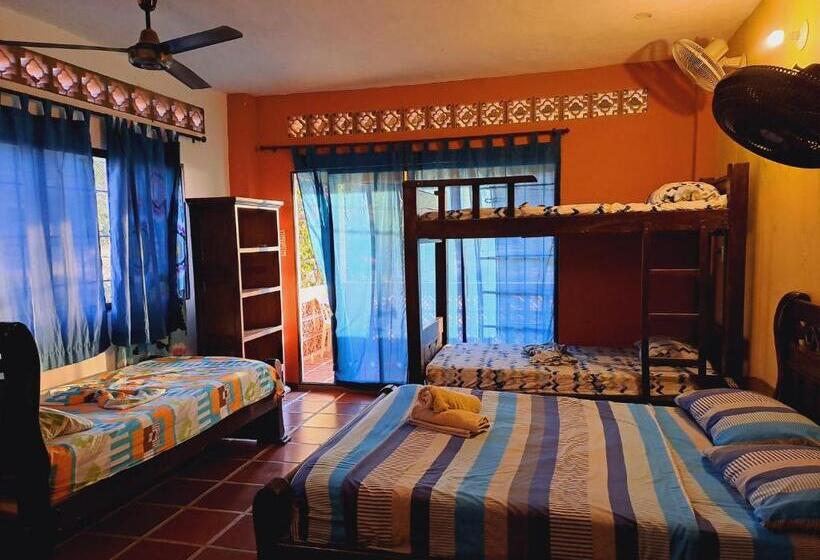 هاستل Hostal La Casa De Felipe