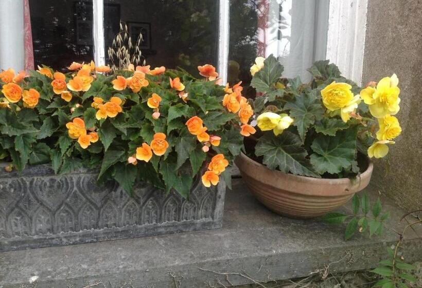 مبيت وإفطار Bradridge Farm