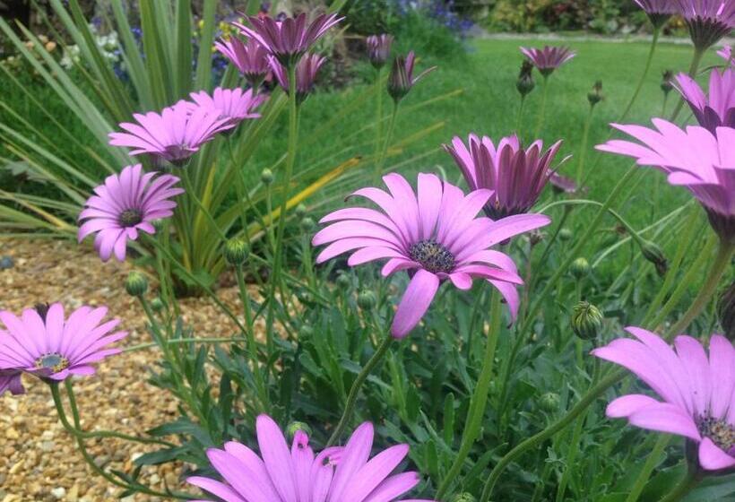 مبيت وإفطار Bradridge Farm