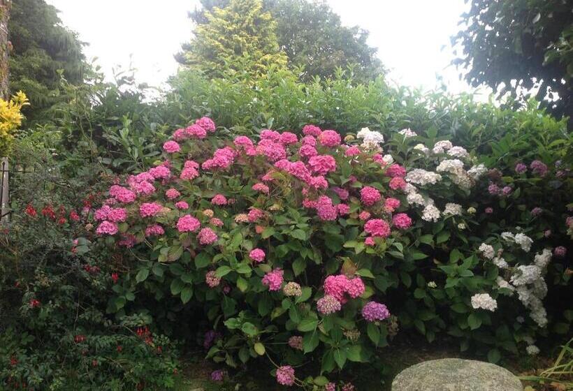 مبيت وإفطار Bradridge Farm