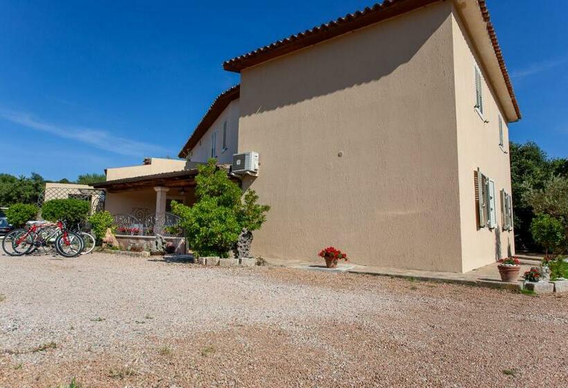 تختخواب و صبحانه Terre Di Gallura