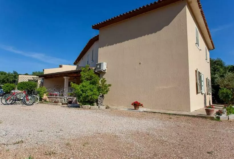 Aamiaismajoitus (B&B) Terre Di Gallura