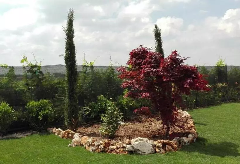 ホテル Agriturismo Pigno