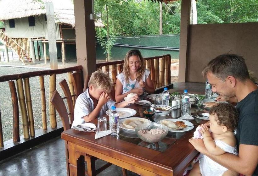 فندق Pelican Lake