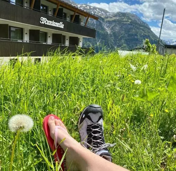 ペンション Muntanella